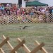 mini-IMG_5467