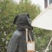 mini-IMG_5477