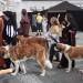 mini-IMG_5583