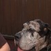 mini-IMG_5667