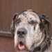 mini-IMG_5670