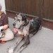 mini-IMG_5672