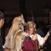 mini-IMG_5790