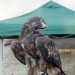 mini-IMG_5889