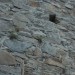 mini-IMG_5992