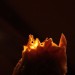 mini-IMG_6027