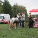 gablitz11_019