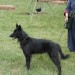 gablitz11_029