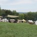 gablitz11_056