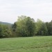 gablitz11_061