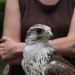 ottenstein_030