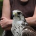 ottenstein_031