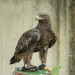 ottenstein_058