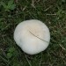 ottenstein_062