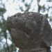 ottenstein_103