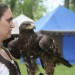 ottenstein_129