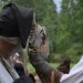 ottenstein_132