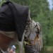 ottenstein_133
