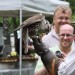 ottenstein_137