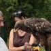 ottenstein_160