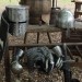 poechlarn11_069