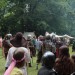 poechlarn11_088