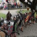 poechlarn11_235