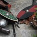 poechlarn11_268
