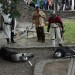 poechlarn11_278