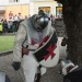 poechlarn11_280