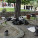 poechlarn11_286