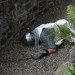 poechlarn11_294