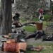 poechlarn11_298