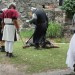 poechlarn11_304