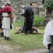 poechlarn11_305