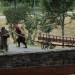 poechlarn11_310