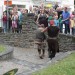 poechlarn11_329