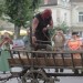 poechlarn11_336