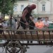 poechlarn11_337