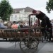poechlarn11_354