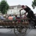 poechlarn11_355
