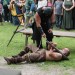 poechlarn11_448