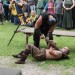 poechlarn11_449