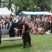 poechlarn11_513