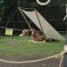 poechlarn11_517