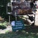 mini-IMG_4739