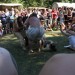 mini-IMG_4800