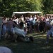 mini-IMG_4804