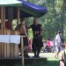 mini-IMG_4829