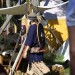 mini-IMG_4896